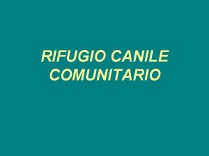 RIFUGIO CANILE COMUNITARIO PREMESSA La presente relazione finalizzata