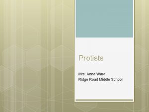 Protists Mrs Anna Ward Ridge Road Middle School