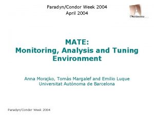 ParadynCondor Week 2004 April 2004 MATE Monitoring Analysis