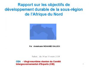 Rapport sur les objectifs de dveloppement durable de