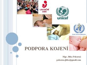 PODPORA KOJEN Mgr Jitka Pokorn pokorna jitkagmail com