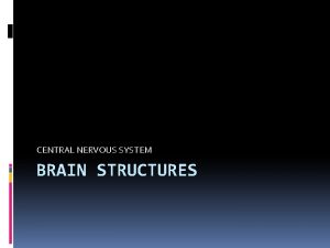 CENTRAL NERVOUS SYSTEM BRAIN STRUCTURES Celebral Cortex wrinkled