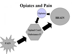 Opiates and Pain Opiates BRAIN Spinal Cord Substance