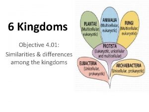 6 Kingdoms Objective 4 01 Similarities differences among