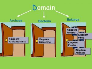 Domain Archaea Bacteria Eukarya Kingdom Protista 1 Kingdom