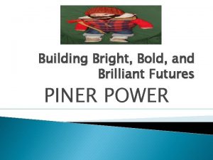 Building Bright Bold and Brilliant Futures PINER POWER