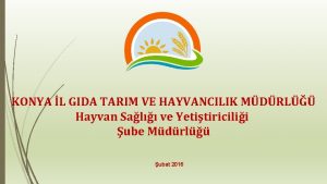 KONYA L GIDA TARIM VE HAYVANCILIK MDRL Hayvan