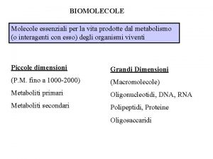 BIOMOLECOLE Molecole essenziali per la vita prodotte dal