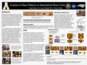 Analysis of Wear Patterns on Neanderthal Stone Tools