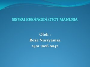 SISTEM KERANGKA OTOT MANUSIA Oleh Reza Nursyamsa 2401