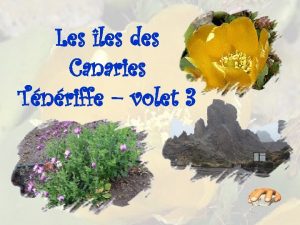 Les les des Canaries Tnriffe volet 3 Bord