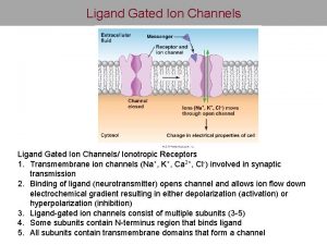 Ligand Gated Ion Channels Ionotropic Receptors 1 Transmembrane