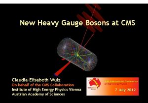 New Heavy Gauge Bosons at CMS ClaudiaElisabeth Wulz