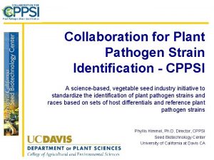 Collaboration for Plant Pathogen Strain Identification CPPSI A