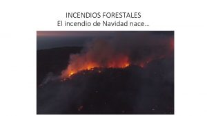 INCENDIOS FORESTALES El incendio de Navidad nace ESCUELA