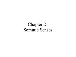 Chapter 21 Somatic Senses 1 Sensory Modalities Different