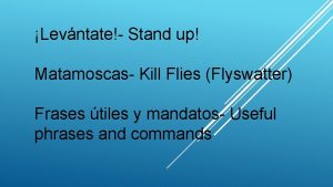 Levntate Stand up Matamoscas Kill Flies Flyswatter Frases