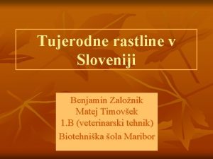 Tujerodne rastline v Sloveniji Benjamin Zalonik Matej Timovek