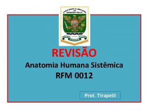 REVISO Anatomia Humana Sistmica RFM 0012 Prof Tirapelli