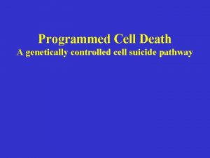 Programmed Cell Death A genetically controlled cell suicide