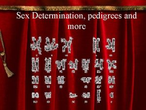 Sex Determination pedigrees and more I Sex Determination