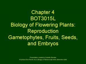 Chapter 4 BOT 3015 L Biology of Flowering