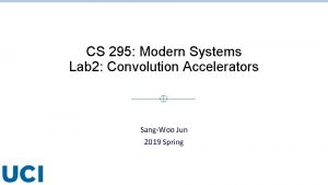 CS 295 Modern Systems Lab 2 Convolution Accelerators