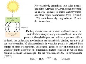 Photosynthetic organisms trap solar energy and form ATP