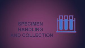 SPECIMEN HANDLING AND COLLECTION Patient Identification Two or