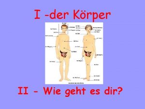 I der Krper II Wie geht es dir