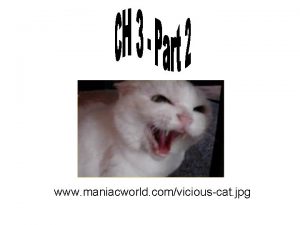 www maniacworld comviciouscat jpg Inhalation Administration Drugs are