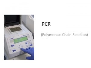 PCR Polymerase Chain Reaction PCR Polymerase chain reaction