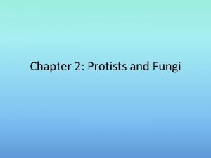 Chapter 2 Protists and Fungi Section 1 Protists