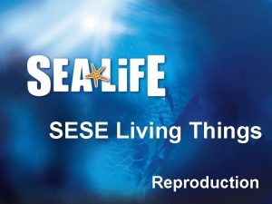 SESE Living Things Reproduction The life cycle All