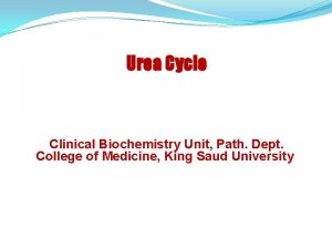 Urea Cycle Clinical Biochemistry Unit Path Dept College