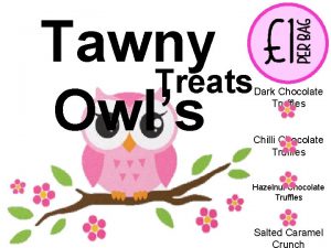 Tawny Treats Owls Dark Chocolate Truffles Chilli Chocolate