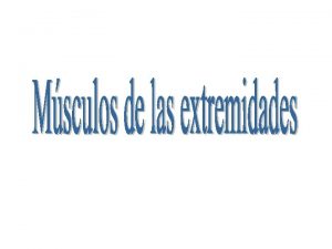 Deltoides Bceps braquial Nombre Msculo Origen Accin Hmero