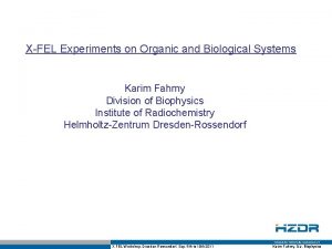 XFEL Experiments on Organic and Biological Systems Karim