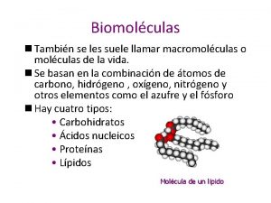 Biomolculas n Tambin se les suele llamar macromolculas