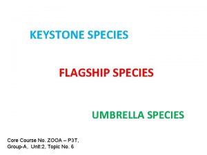 KEYSTONE SPECIES FLAGSHIP SPECIES UMBRELLA SPECIES Core Course