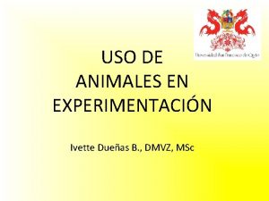 USO DE ANIMALES EN EXPERIMENTACIN Ivette Dueas B