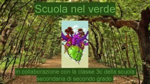 Scuola nel verde In collaborazione con la classe