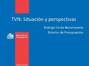 TVN Situacin y perspectivas Rodrigo Cerda Norambuena Director