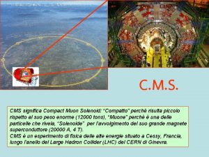 C M S CMS significa Compact Muon Solenoid