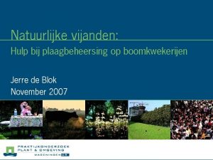 Natuurlijke vijanden Hulp bij plaagbeheersing op boomkwekerijen Jerre