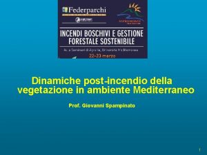 Dinamiche postincendio della vegetazione in ambiente Mediterraneo Prof