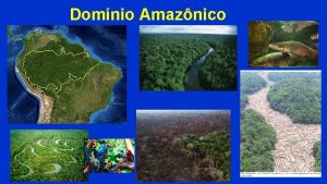 Domnio Amaznico CLIMA EQUATORIAL Predomina o clima equatorial