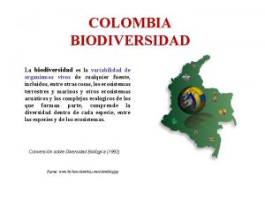 COLOMBIA BIODIVERSIDAD La biodiversidad es la variabilidad de