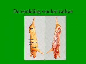 De verdeling van het varken Poot Ham Strookspek