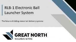 RLB1 Electronic Ball Launcher System The future of